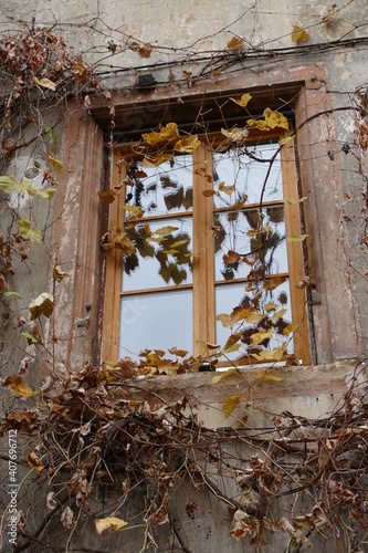 Das verwunschene Fenster