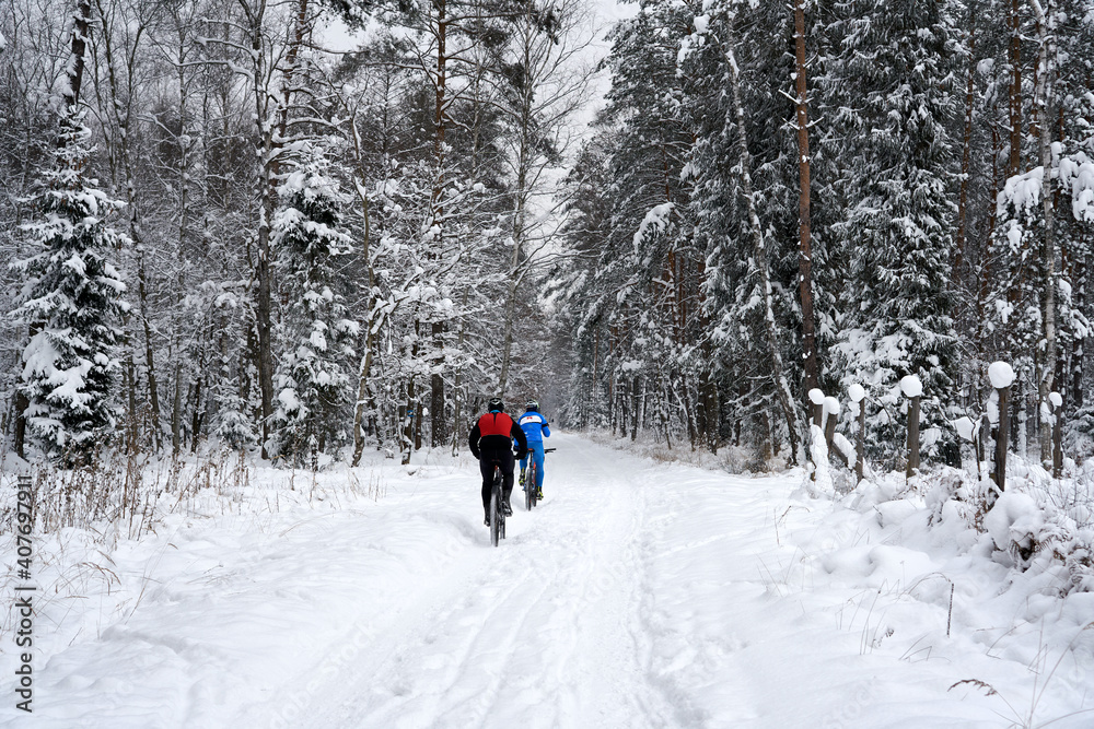 Two bicyclists riding their bikes in very cold winter day in Poland.  Back view. Weekend in a snowy forest.    