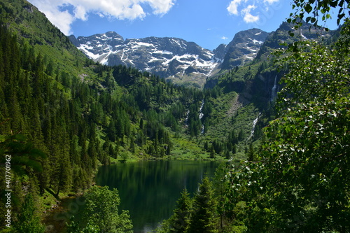 Lake in the mountains surrounded by forest trees