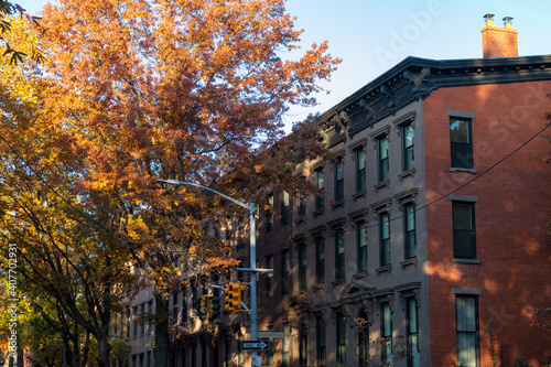 Park Slope Brooklyn New York Row of Colorful Old Brownstone Homes and Buildings with Trees during Autumn © James