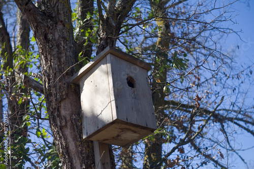 wooden handcrafted birdhouse