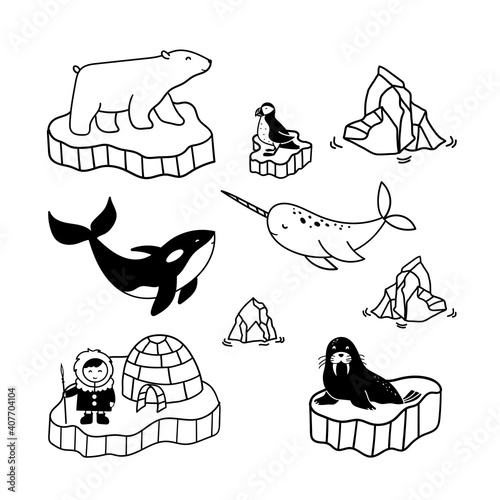 Simple doodle drawings about polar inhabitants - eskimo, bear, norval, killer whale, puffin and walrus. Vector illustrations of arctic birds and animals.