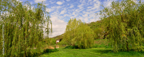 Fotografie Panoramique les trois saules pleureurs du bord de Seine à Vétheuil (95510), dépa