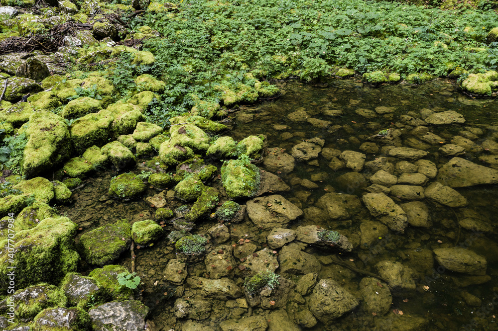 Still water and stones covered by moss at Nans-sous-sainte-Anne, Pit cave 