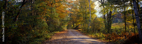 Country road, autumn colors, foliage, Connecticut