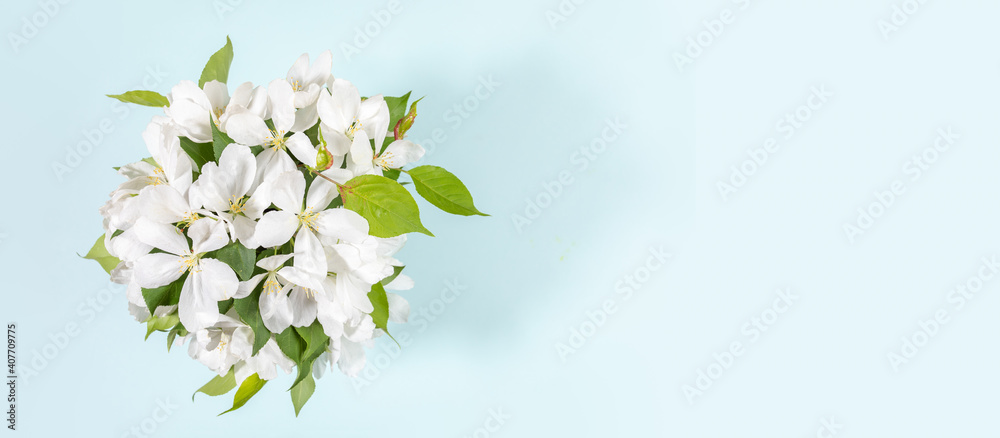 Banner with bouquet of blooming white apple tree twigs on light blue background. Festive Mother's day, Valentine's Day, Birthday congratulations floral concept. Greeting card. Top view. Copy space.