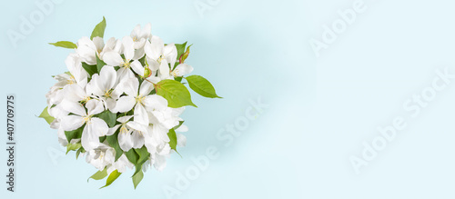 Banner with bouquet of blooming white apple tree twigs on light blue background. Festive Mother's day, Valentine's Day, Birthday congratulations floral concept. Greeting card. Top view. Copy space.