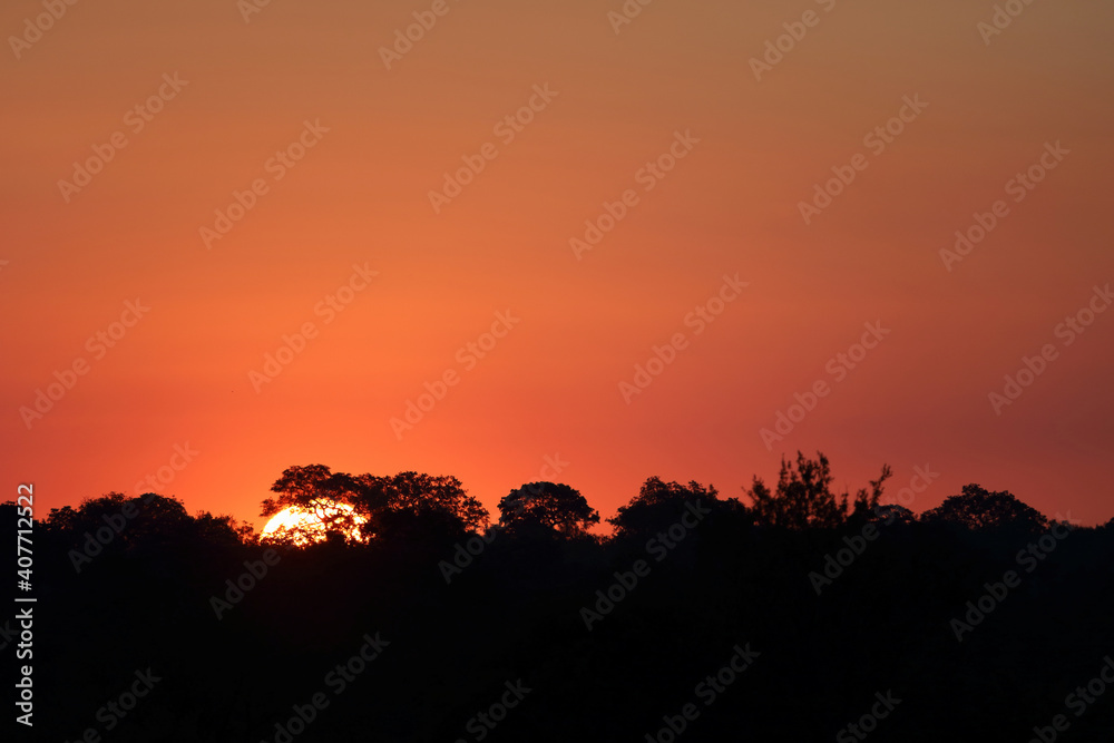 Sonnenuntergang Krüger Park / Sundown Kruger Park / Sonnenuntergang Krüger Park / Sundown Kruger Park /