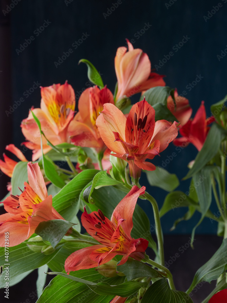 Fototapeta premium Modern flower bouquet of different colors, colorful bouquet of flowers.Gerberas, daisies, and Eustoma. Colorful background. Colorful postcard. Christmas card.