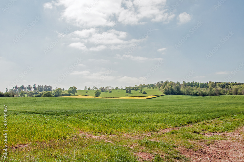 Landscape with field and blue sky
