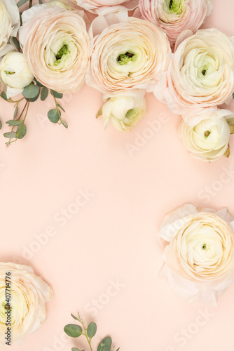 Floral flat lay background with fresh blush ranunculus flowers