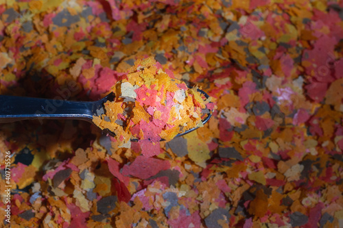 Food for aquarium fish in the form of colorful flakes on a spoon.