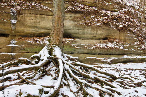583-73 Matthiessen Roots photo