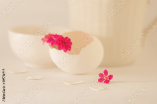 Pink Kalanchoe flower in a white eggshell on a light white background. Elegant white photo. Minimalistic still life. Soft light  high key.