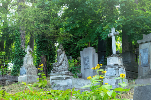 Lviv, Ukraine - July 12, 2019: Ancient gothic Lychakiv cemetery in Lviv, Ukraine. Ancient stone crypts, tombs and gravestones against the backdrop of overgrown green trees and herbs. Famous landmark photo