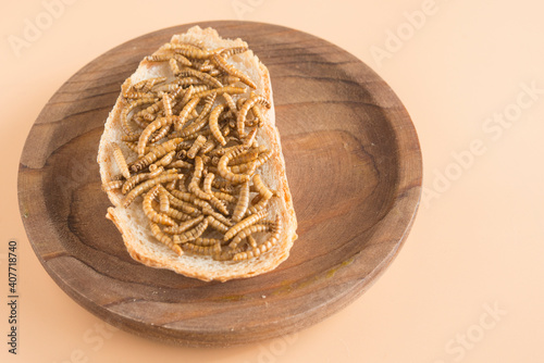 Endible worm with bread in grown background photo