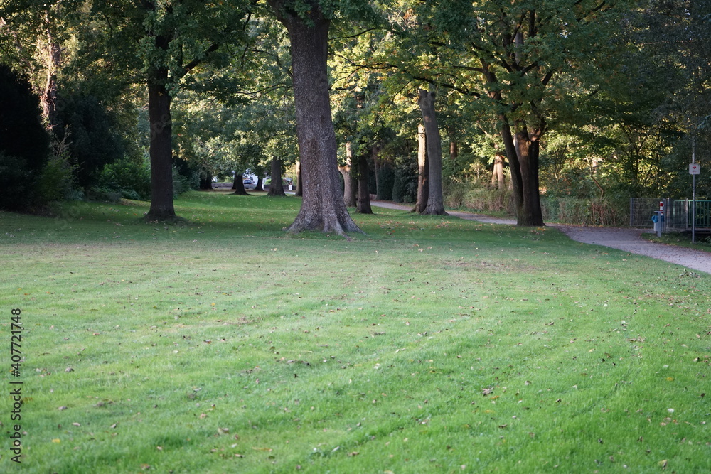 Obraz premium a park landscape with lush meadows