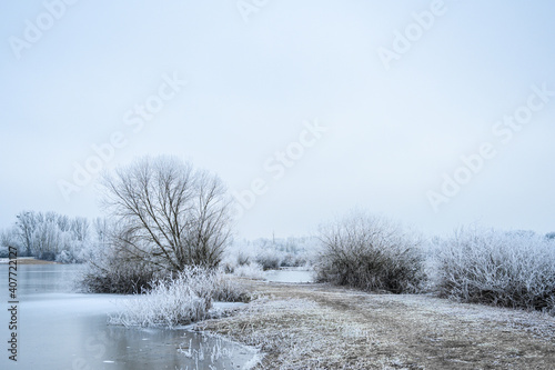 Icy cold winter with frost on trees alongside small lake in germany on overcast day © AyKayORG
