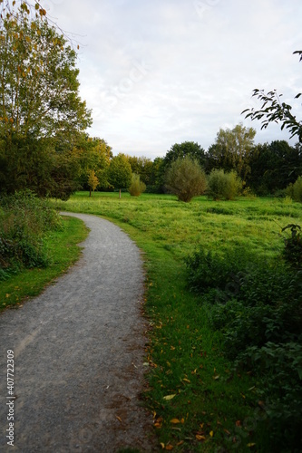 a park landscape with lush meadows