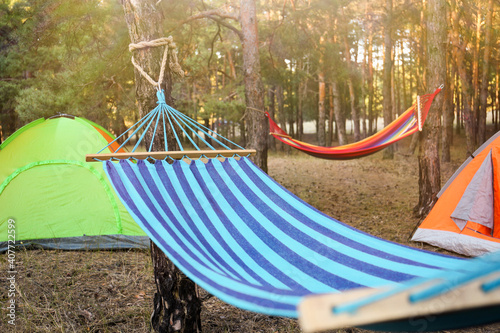 Colorful tents and empty comfortable hammocks in forest