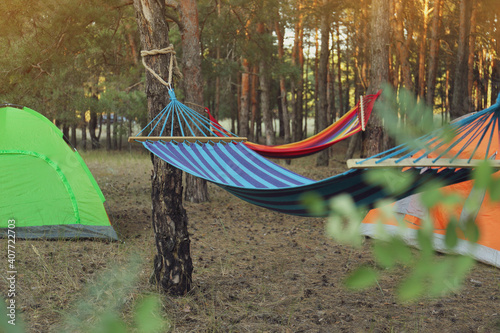 Colorful tents and empty comfortable hammocks in forest
