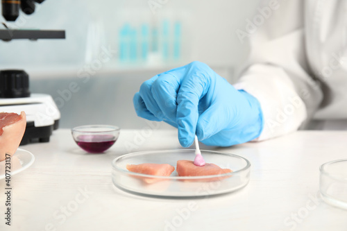 Scientist inspecting meat at table in laboratory, closeup. Poison detection