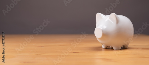 money box pig piggybank white