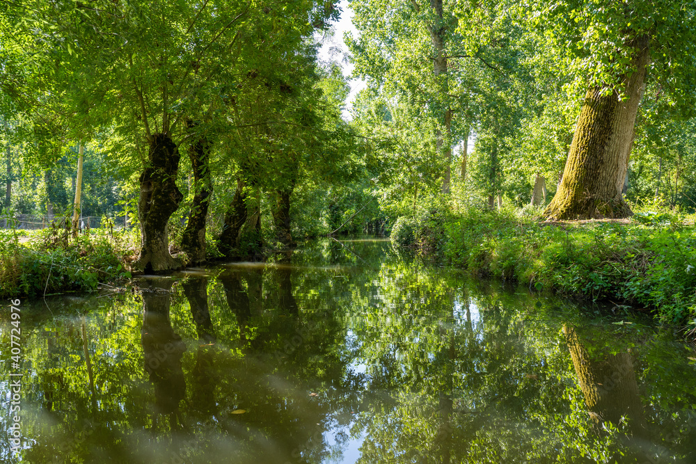 le Marais Poitevin, Parc naturel régional, Deux-Sèvres et Charente-Maritime, France le Marais Poitevin, Parc naturel régional, Deux-Sèvres et Charente-Maritime, France