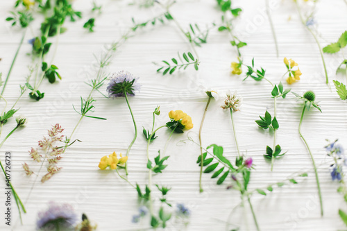 Spring flowers. Beautiful wildflowers  composition on white wood. Hello Spring