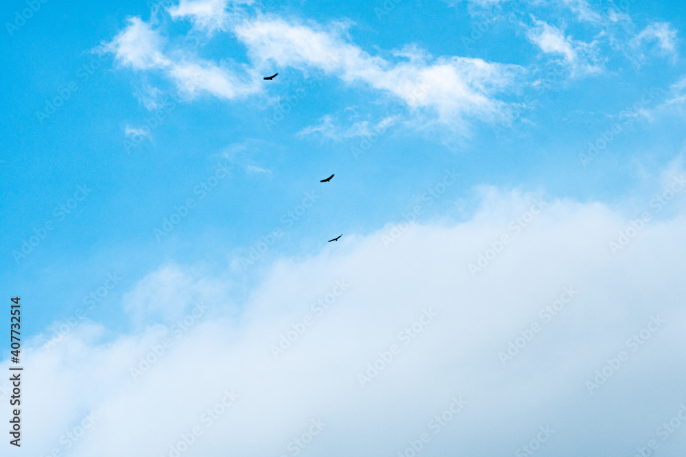 Blue sky background with clouds Blue sky background with clouds