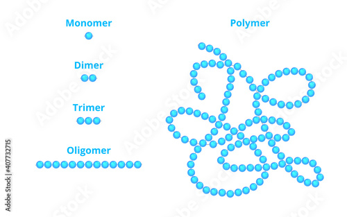 Vector scientific illustration of monomer, dimer, trimer, oligomer, and polymer isolated on a white background. Repeating units of the monomer as a part of a polymer. Macromolecular chemistry concept. photo
