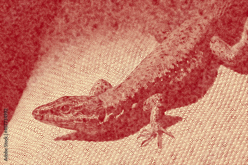 Stipple Technique Gecko