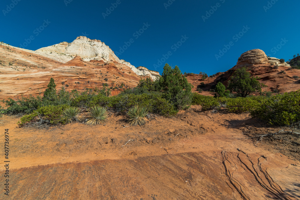 Zion National Park in Utah Zion National Park in Utah