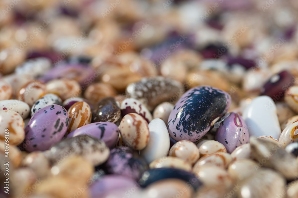 Shelled ripe seeds of kidney bean on heap. Pile of dry raw seeds of haricot (Phaseolus vulgaris) as natural background. Macro close-up. Organic farming, healthy food, BIO viands, back to nature. Shelled ripe seeds of kidney bean on heap. Pile of dry raw seeds of haricot (Phaseolus vulgaris) as natural background. Macro close-up. Organic farming, healthy food, BIO viands, back to nature.
