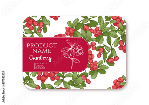 Cranberry Ripe berries. Template for product label, cosmetic packaging. Easy to edit. Graphic drawing, engraving style. Vector illustration.