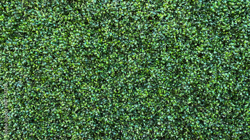 Green small leaves texture