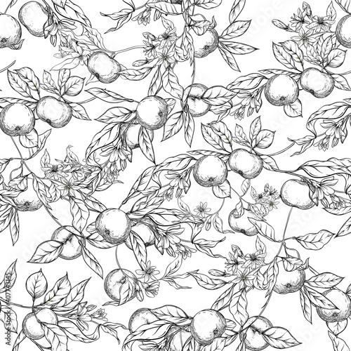 Mandarin, tangerine tree branch with fruits, flowers and leaves. Seamless pattern, background. Colored vector illustration. Isolated on white background..