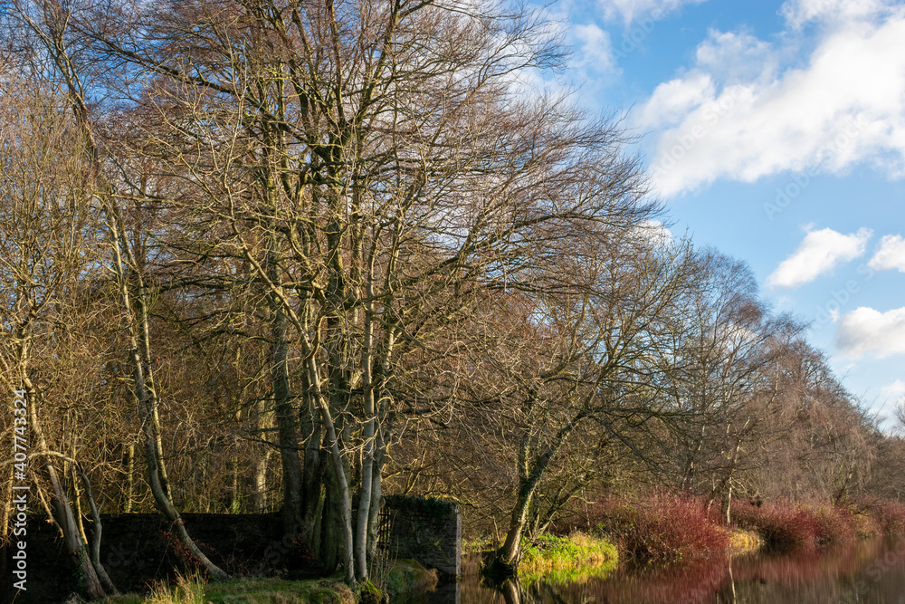 Beautiful Sunny Day in Irish Countryside Beautiful Sunny Day in Irish Countryside