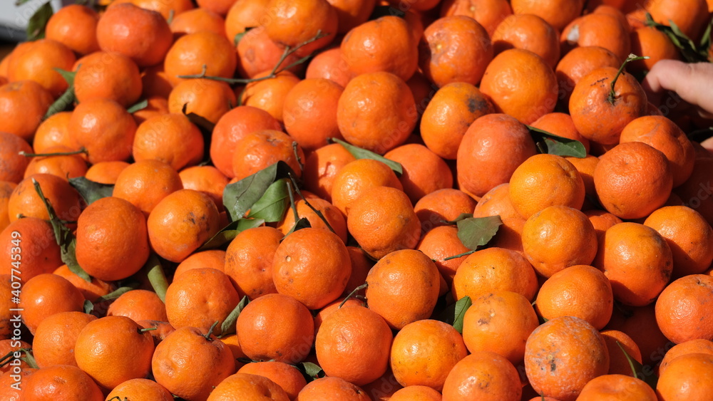 ince kabuklu mandalin adana vitamin c tangerine