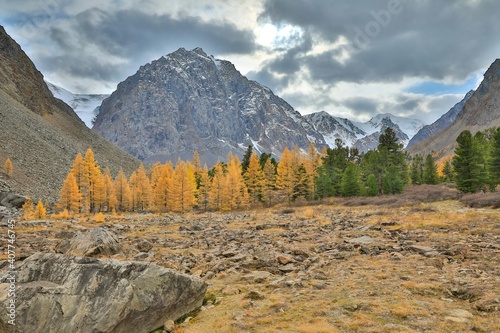 landscape in the mountains