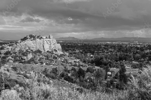 Black and white view of spr...