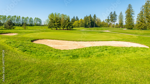 Golf course with yellow sand bunker and fantastic forest view.