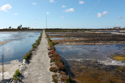 Salt Flats, Ria de Aveiro, Aveiro, Portugal