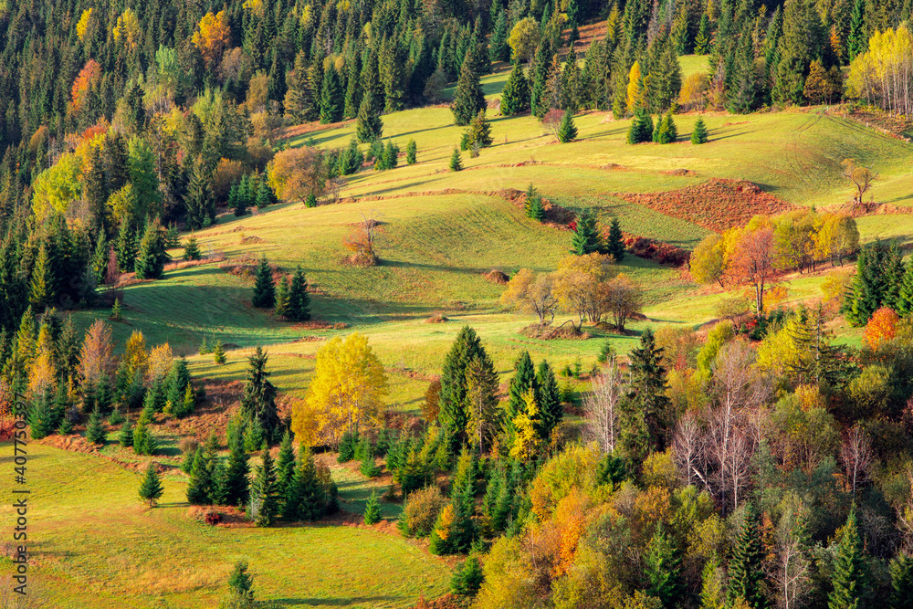 nature, created by nature, view, sky, purity, untouched, pure, sunny, without humans, earth, innocence, flora, plants, planet earth, travel, realx, peace, rest, tranquility, vacation, freedom, space,