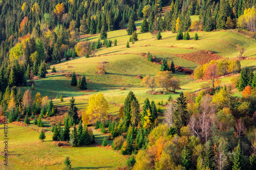 nature, created by nature, view, sky, purity, untouched, pure, sunny, without humans, earth, innocence, flora, plants, planet earth, travel, realx, peace, rest, tranquility, vacation, freedom, space, 