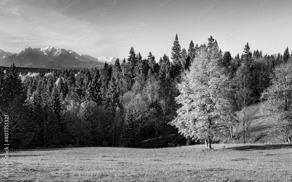 Hill Krivan (2494m),symbol of Slovakia in High Tatras mountains, Slovakia
