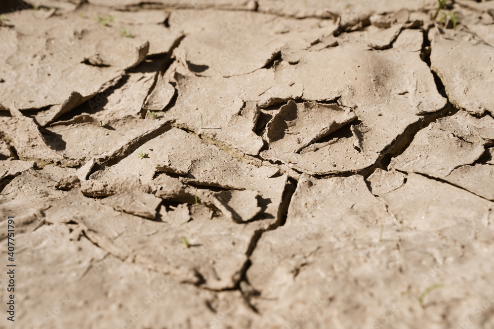 Fototapeta premium The texture of a heat cracked field. Global warming