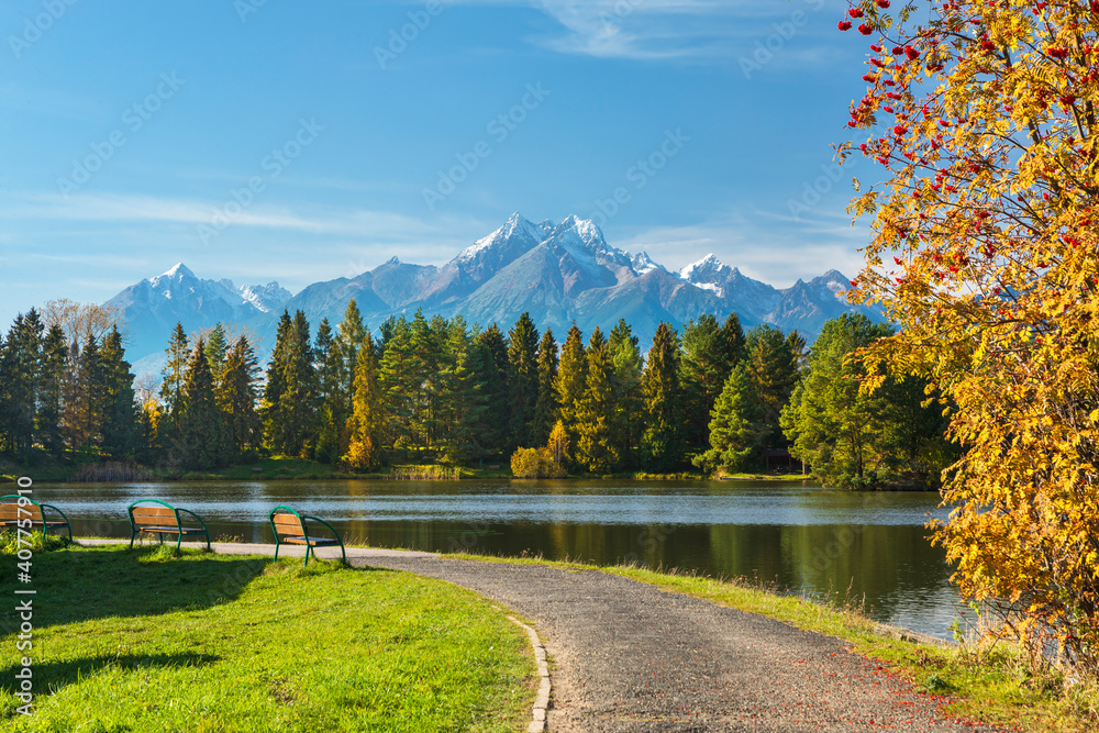 Slovakia, High Tatras, Vysoke Tatry, Europe moutain, , tree