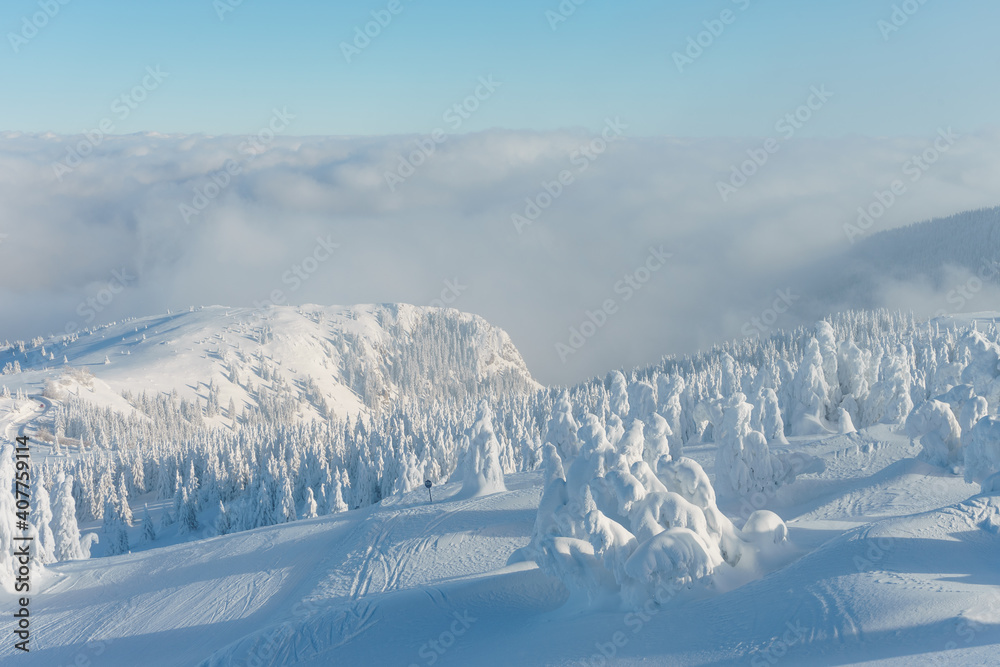 Fototapeta premium Mountain winter snow landscape. Fir trees under the snow, clouds and blue sky. High quality photo