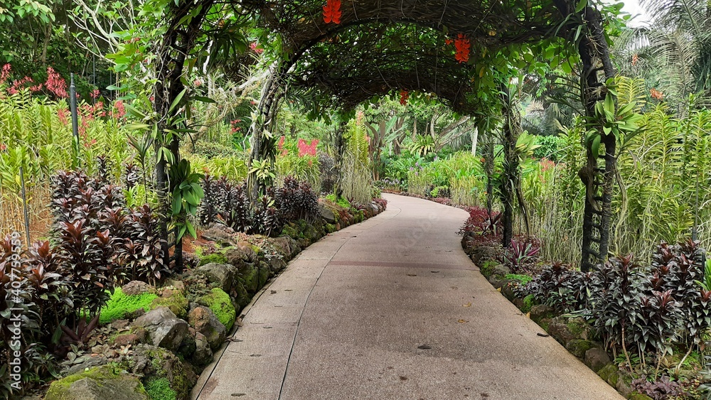 Beautiful pathway in a garden  Singapore